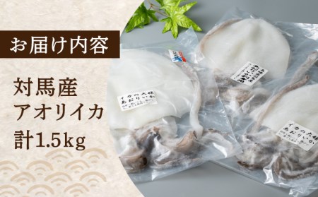 アオリ イカ 刺身用 1.5kg [WAD008] 刺身 あおりいか アオリイカ