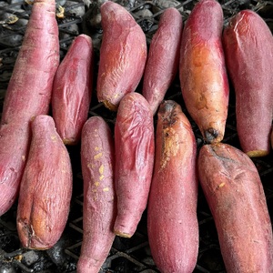 AO-003_【予約・12月中旬発送】冷凍焼き芋「紅はるか」 1kg