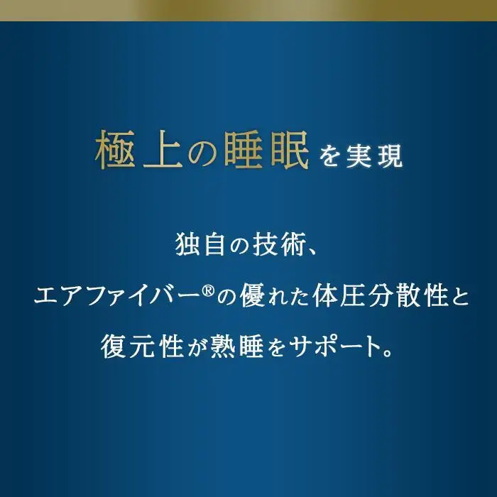 エアウィーヴ ベッドマットレス S02 クイーン エアウィーヴ