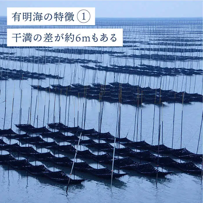 【詰め合わせ】佐賀海苔御のり 味のり・焼のり 株式会社サン海苔/吉野ヶ里町 [FBC051]