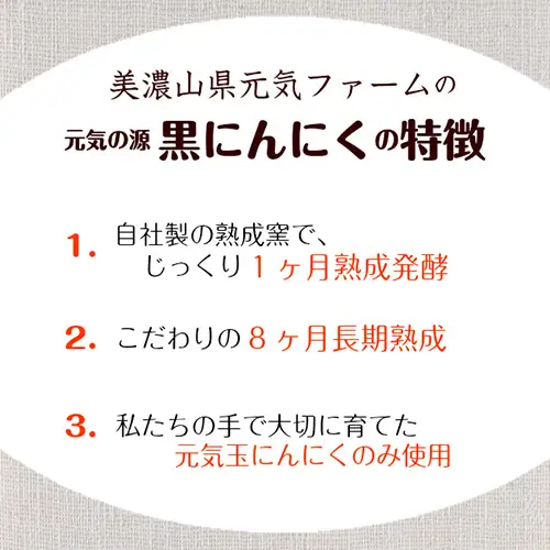 元気の源　黒にんにく　240g [No.672]