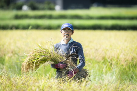 【令和6年産】【自然環境米】鬼北のせせらぎ2kg×6袋セット（鬼北産コシヒカリ） ｜ お米 お米不足 お米品薄 おいしい お米 事業者支援 送料無料 白米 精米 国産 限定 ごはん ご飯 白飯 ゴハン 愛媛県産 鬼北町