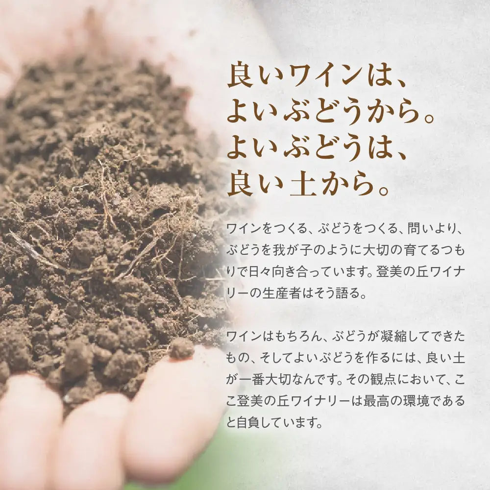 サントリー登美の丘ワイナリー フロムファーム　甲斐　赤　2020 750ml ワイン 赤ワイン オリジナルワイン 甲斐市 辛口 山梨 H-75