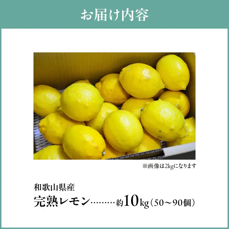【2027年先行予約】和歌山県産 完熟 レモン 10kg 皮まで使用可能（栽培期間中農薬不使用）_EA6013