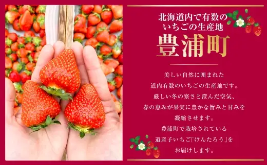 【2027年5月上旬～6月上旬発送予定】いちご「けんたろう」2トレーセット 