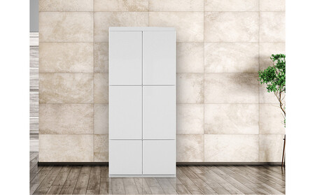 ミュージアム 幅80cm 板戸 コレクション棚 収納棚 キャビネット 高級 大川家具 壁面収納  【開梱設置】