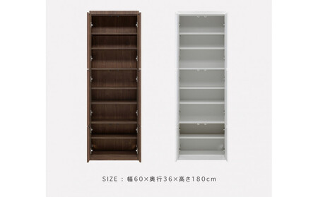 ミュージアム 幅60cm 板戸 コレクション棚 収納棚 キャビネット 高級 大川家具 壁面収納  【開梱設置】