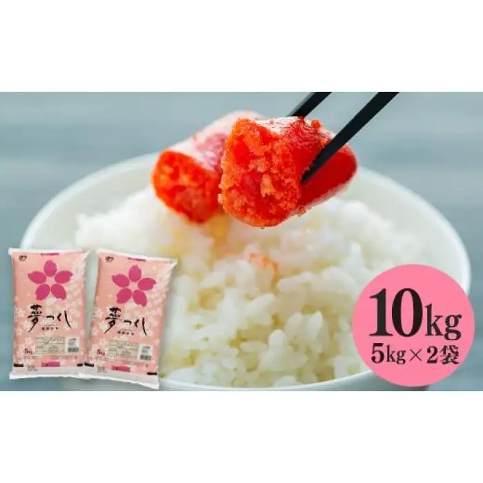 【令和7年産】福岡県産 米 夢つくし 10kg セット ( 5kg×2袋 ) | 米 お米 こめ 白米 精米 ライス ブランド米 美味しい ご飯 おいしい ごはん