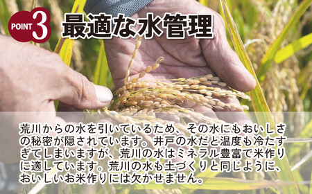 米 令和7年産 彩のかがやき 10kg (5kg×2袋) | 白米 米 桜国屋