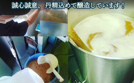 美濃関麦酒 関市の特産品を使ったクラフトビール飲み比べ（2種）6本セット【配送不可地域：離島・一部山間部等】