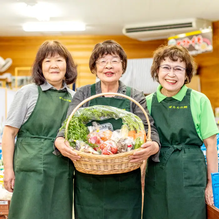 【3ヵ月定期便】高原の町「飯南町」旬のお野菜セット【 新鮮野菜 高原野菜 旬 特産品 お取り寄せ 少量多品種 少量多品目 3回 定期便 コース おまかせ】C-121