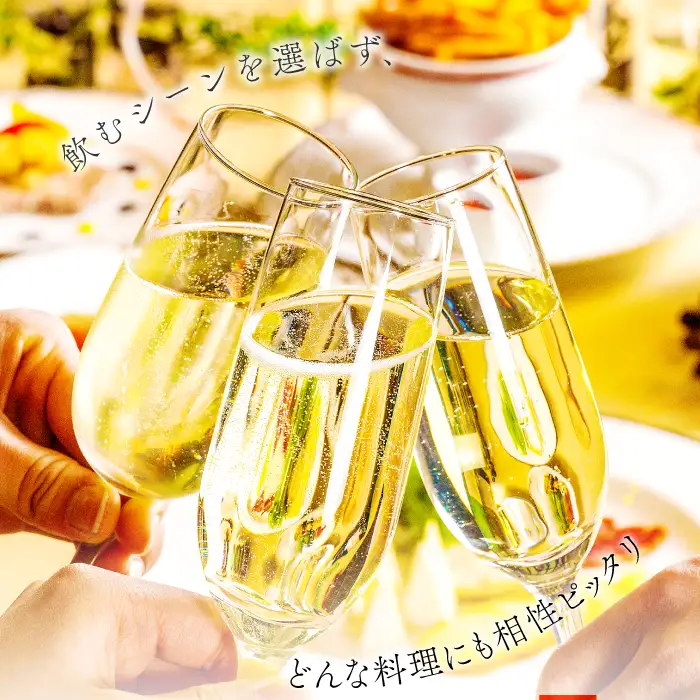 りんごのスパークリングワイン「シードル赤来」750ml×３本【ワイン お酒 炭酸 ギフト パーティーＥ-3】