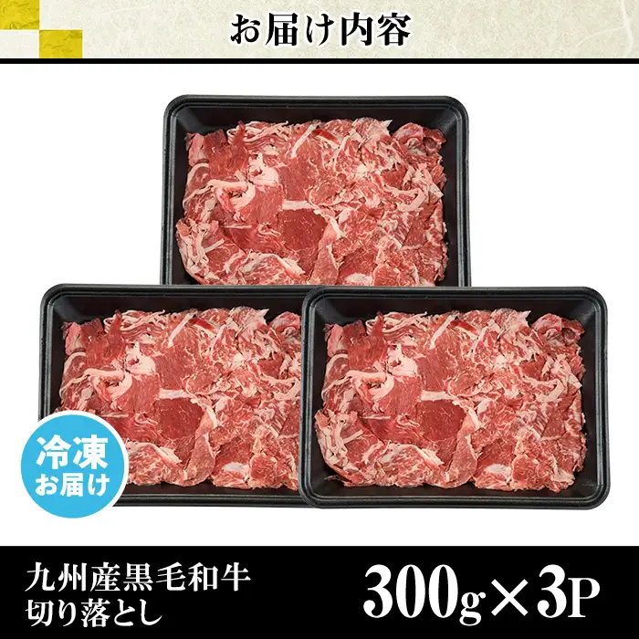 九州産 黒毛和牛 牛肉 切り落とし 計900g 300g×3P LRプラスK No.1015 