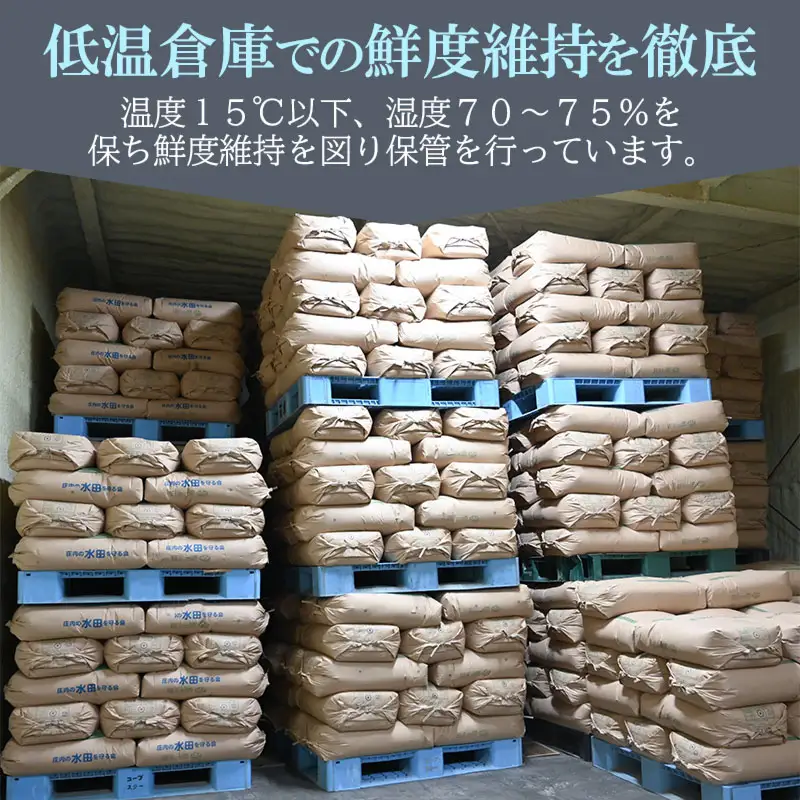 【令和7年産】特別栽培米 つや姫 乾式無洗米 10kg（5kg×2袋）山形県鶴岡市産　有限会社コープスター会　| 米 こめ コメ 10キロ ブランド米 庄内米 ごはん ご飯 美味しい 国産 おすすめ 人気 お取り寄せ 返礼品