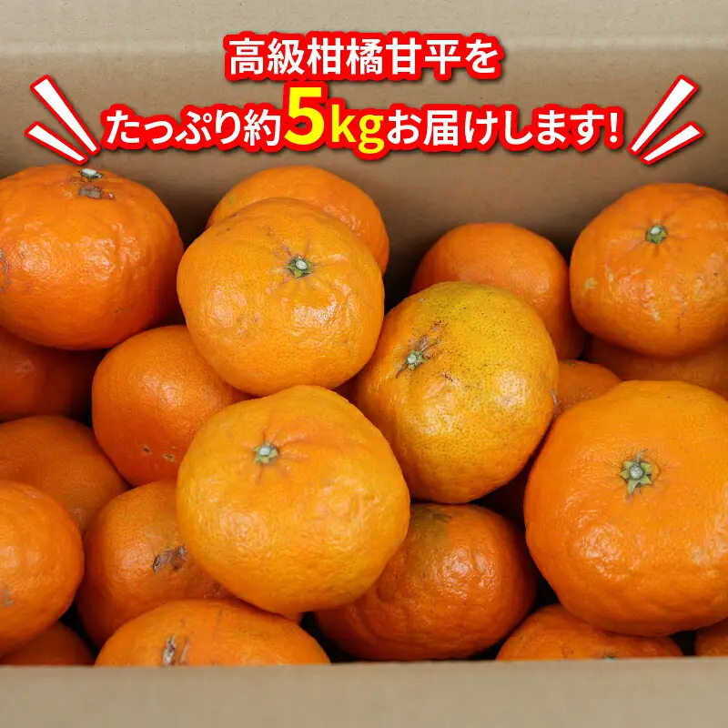 愛媛みかん 訳あり 甘平 5kg 高級 愛媛 限定 ブランド 品種 マル南フルーツ 先行予約 訳あり品 わけあり かんぺい 希少 甘い シャキシャキ 愛媛ミカン 愛媛蜜柑 蜜柑 訳ありみかん みかん mikan 果物 くだもの フルーツ 柑橘 国産 愛媛 宇和島 B012-106021