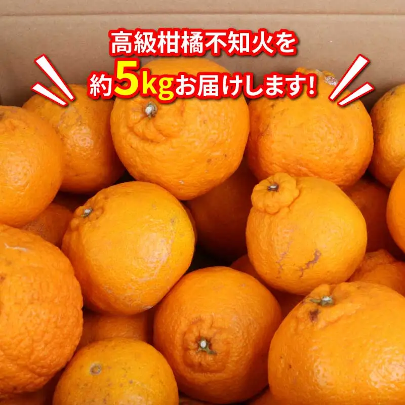 訳あり 不知火 デコポン ( デコポン と同品種) 5kg マル南フルーツ B010-106022