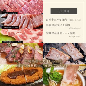 5回 定期便 宮崎牛 宮崎県産 豚 春夏秋冬 5ヶ月 コース 合計13.6kg