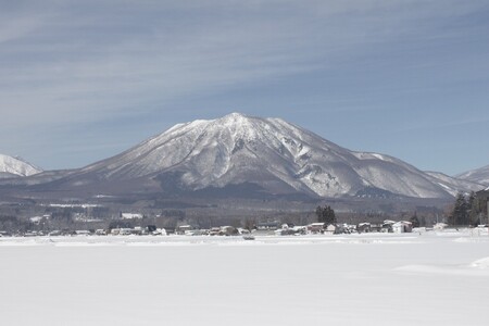 【1月～2月発送】生で食べられる 雪下にんじん〈積雪期限定〉標高900m 農場直送 雪まち野菜（8kg）ファームかずと【長野県信濃町】