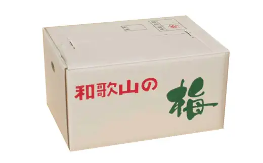 【梅干・梅酒用】（3Lまたは2L－10Kg）熟南高梅 秀優混合 / フルーツ 果物 くだもの 食品 人気 おすすめ 送料無料 ※2027年6月上旬～7月上旬頃順次発送予定 ※沖縄・離島への配送不可 【art009C】