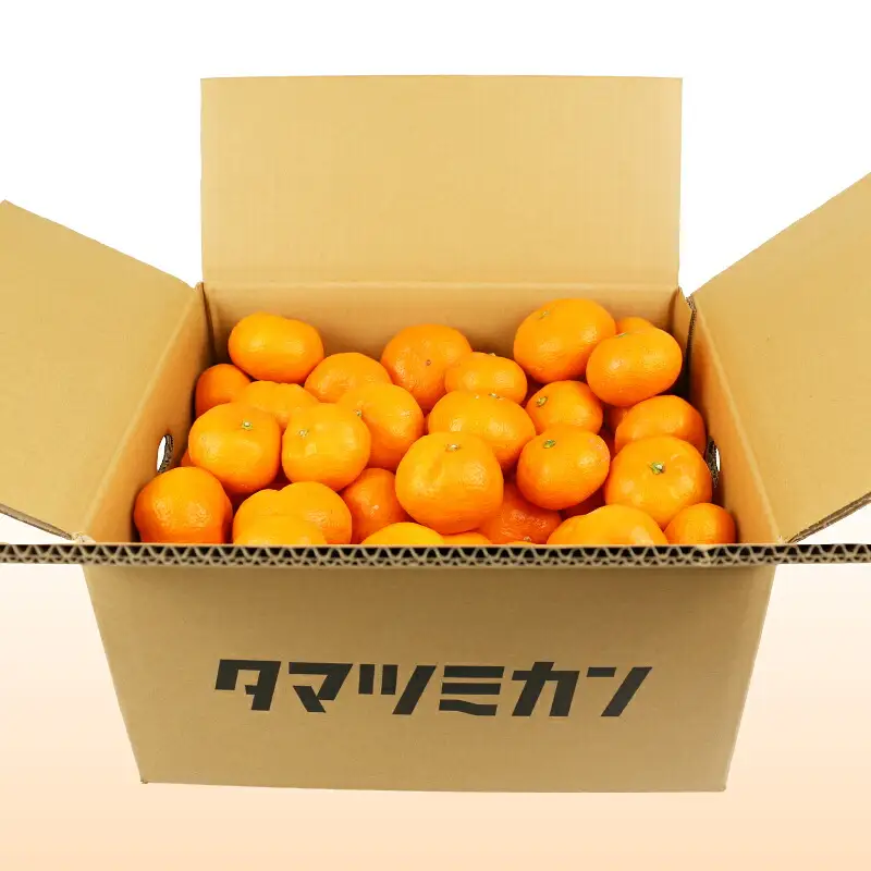 南柑20号 みかん 9kg 家庭用 玉津柑橘倶楽部 温州みかん 【 みかん 愛媛 】 B010-072002