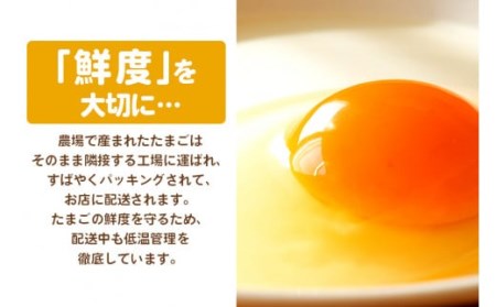 森のたまご（白） 120個6ヶ月定期便 10個入り×12パック もりたま 新鮮 鶏卵 玉子 高級 ブランド卵 卵かけご飯 卵かけごはん たまごかけご飯 卵焼き たまご焼き 玉子焼き 目玉焼き ゆで卵 健康 栄養 DHA ビタミンE 安心安全 コクとうまみが愛されるロングセラーブランド・森のたまごを6か月間・毎月お届け 22-H