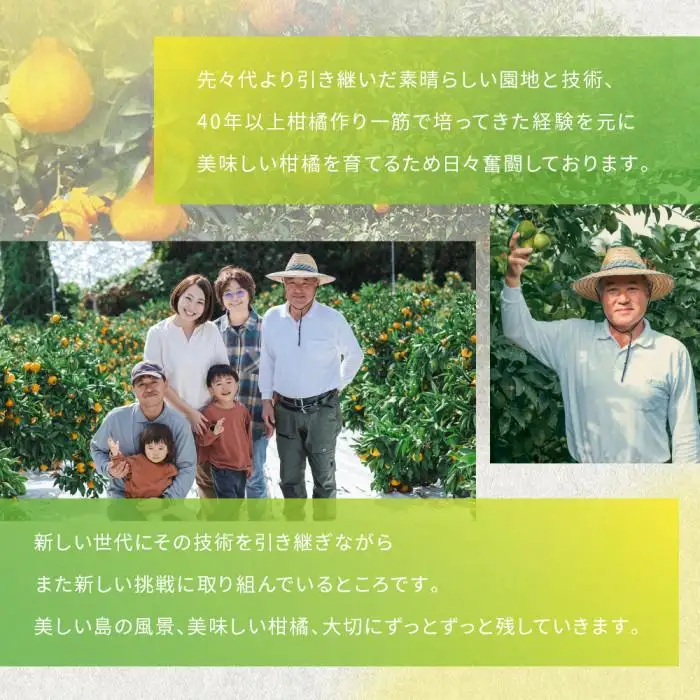 完熟はるか 3kg ドルチェみかん