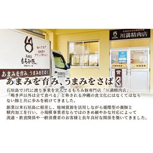もろみ豚 特製 餃子 4パック【合計48個】 AH-5