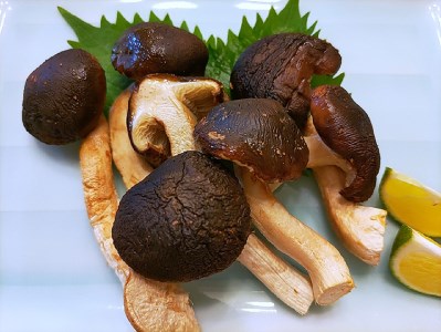 茨城県産　松きのこ400ｇ 【茨城県共通返礼品 水戸市】