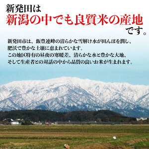 米 コシヒカリ 新潟県産 オーガニック米コシヒカリ 2㎏ 令和7年産 新潟県産 米 コシヒカリ 有機米 有機栽培 有機 オーガニック 2kg 新発田産 数量限定 D63_03
