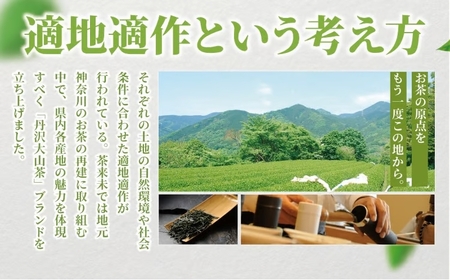煎茶 お茶 金賞受賞上級煎茶 「雲頂の御茶」 詰合せ3種 100g×3  贈答用 茶来未 