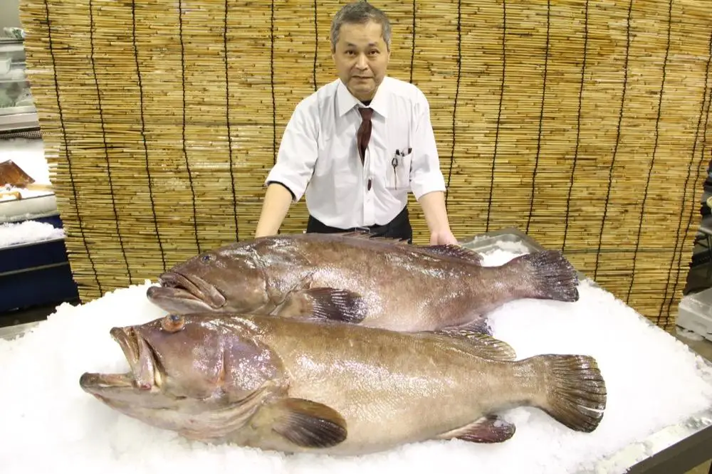 【AB111】＜数量限定＞長崎県産天然真九絵の鍋セット