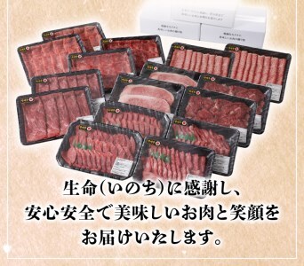 【定期便12回】宮崎牛 匠のよくばり堪能コース N0140-YI031