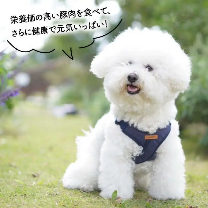 【糸島特産品使用】 無添加 そのまま 糸島華豚 3袋  糸島市 / 株式会社コバヤシ【coco.kina】 犬 おやつ ドッグフード ジャーキー [ASL007]