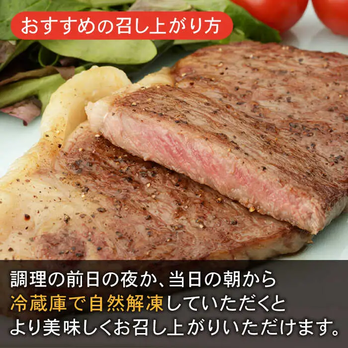 牛肉切り落とし 600g(300g×2) NAC012 牛肉