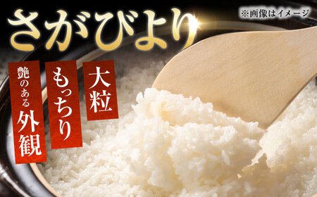 白米 さがびより23kg NAG008 白米