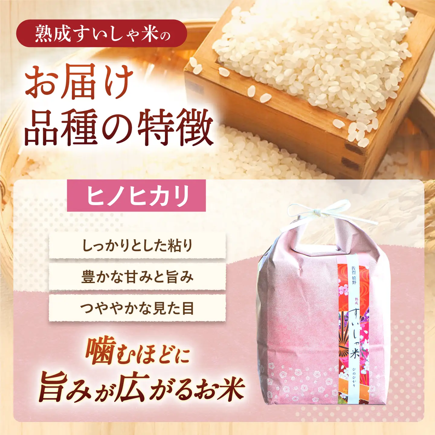 白米 ヒノヒカリ5kg NAO016 白米