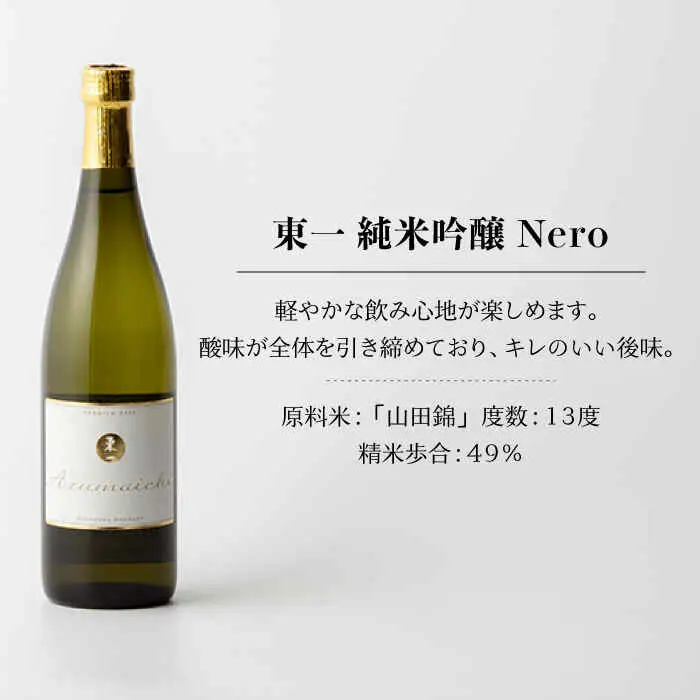 日本酒 東一 日本酒飲み比べ2種 NBQ006 
