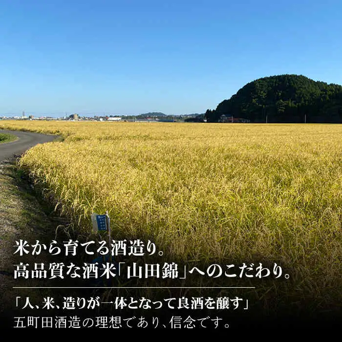 日本酒 東一 純米大吟醸酒 NBQ052 日本酒