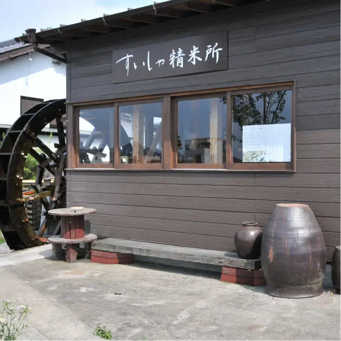 定期便 白米 令和7年産さがびより10kg NAO043 全6回 白米