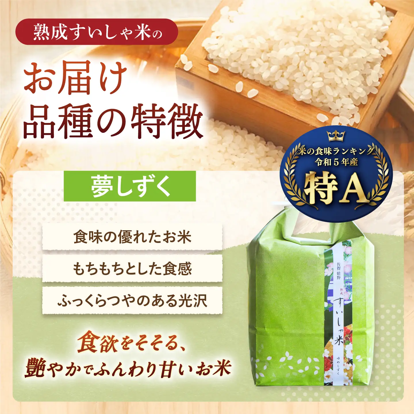【定期便】 白米 夢しずく10kg NAO053 全12回 白米