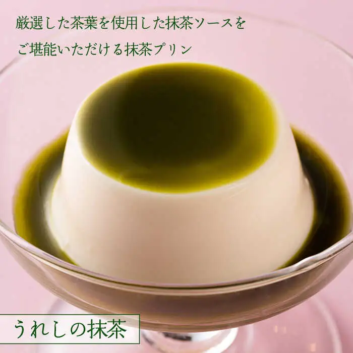 【定期便】 大村屋牛乳プリン 6個入り アソートセット NAX006 
