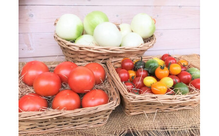 【4月～6月の定期便】トマト好き全員集合 トマト・トマト・トマト3か月お届けパック 野菜ソムリエサミット 金賞 受賞 長田農園 産地直送 トマト とまと 野菜 やさい フルーツ サラダ 濃厚 甘い ご褒美 プレゼント 美容 健康 リピート多数 人気 高評価 数量限定 碧南市　H004-173