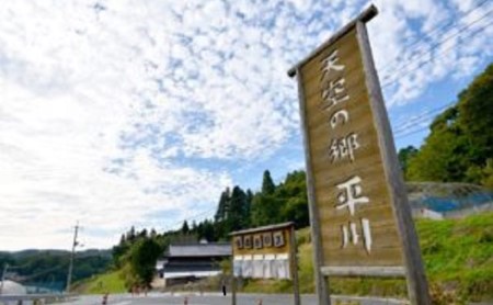 ぶどう ニュー ピオーネ 3～4房 2kg以上 高梁市産 1箱 2026年度 早期受付  ぶどう 