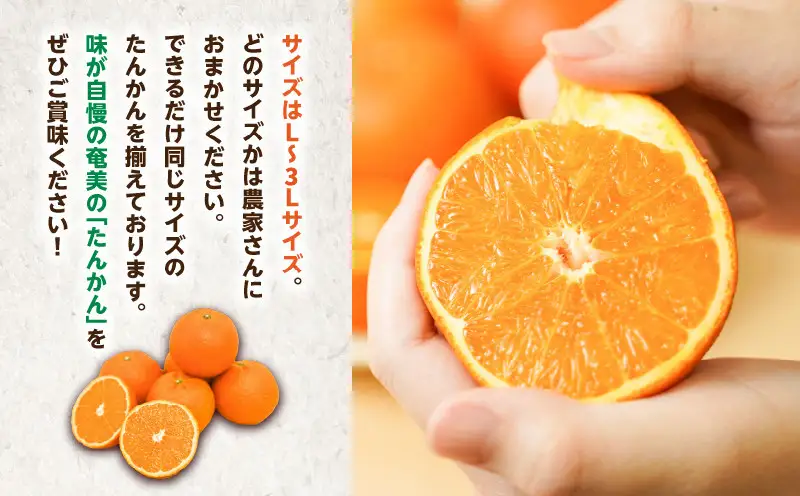 【 2027年度 先行予約 】たんかん 5kg A021-027 期間 数量 限定 タンカン 甘い 糖度12度前後 みずみずしい 果汁たっぷり 柑橘 旬 冬 果物 フルーツ サイズ おまかせ 奄美大島 安田商店 ふるさと納税 鹿児島 奄美市 おすすめ ランキング プレゼント ギフト