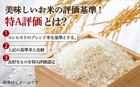 〈受付一時停止中〉【5kg×2回定期便】【令和5年産】さがびより 計10kg（5kg×2）吉野ヶ里町/増田米穀 ご飯 ごはん 米 お米 弁当 おにぎり 国産 佐賀 ブランド ふっくら もちもち [FBM030]