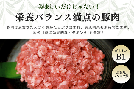 ブランド豚「ばんぶぅ」小分け ミンチ 1kg（500g×2パック） 冷凍便 1キロ たっぷり 豚肉 豚ミンチ 豚ひき肉 豚挽き肉 豚挽肉 キーマカレー ミンチカツ メンチカツ ハンバーグ 餃子 ギョウザ ぎょうざ シュウマイ 肉団子 ミートボール 麻婆 マーボー ぶた肉 ブタ肉 国産 茨城県産 ギフト プレゼント お祝い ご褒美 42-AQ