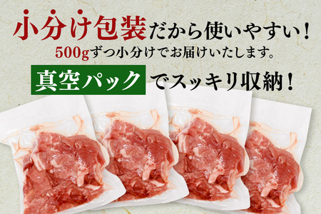 ブランド豚「ばんぶぅ」小分け 切り落とし 1kg（500g×2パック） 冷凍便 1キロ たっぷり 豚肉 豚切り落とし 豚切落し 豚こま切れ 豚小間切れ 豚細切れ 豚こまぎれ ぶた肉 ブタ肉 国産 茨城県産 ギフト プレゼント お祝い ご褒美 42-AT