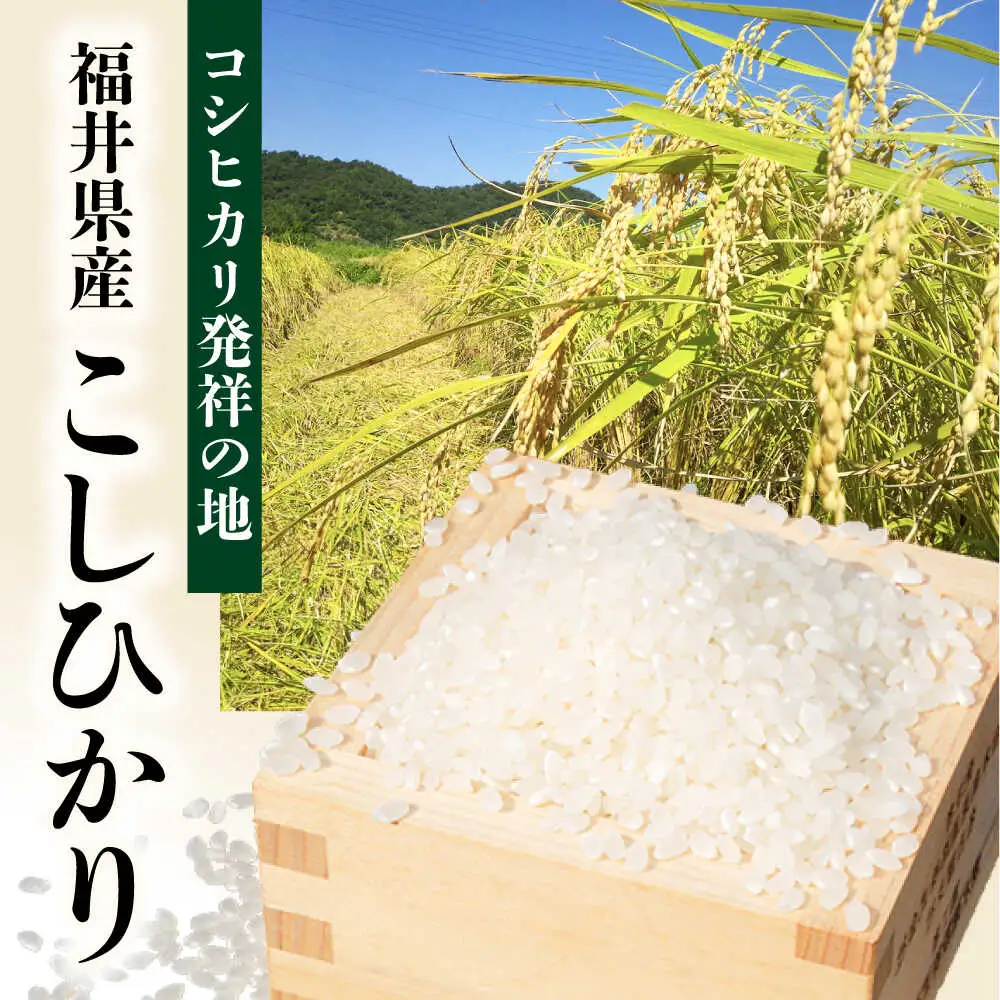 【令和7年度産】福井県産 こしひかり 白米 10kg / 米 白米 精米 小浜市 / お米のきたろう [BFBW001] 
