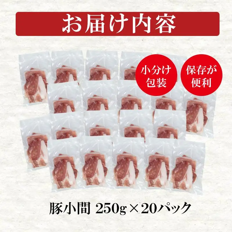 宮崎県産豚肉 小間切れ5kg 小分け250g×20パック＜52-5a＞