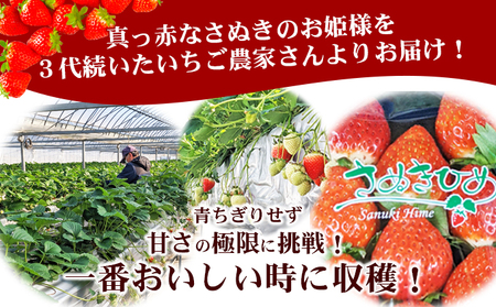2027年1月～4月発送予定 いちご さぬきひめ 約500g いちご